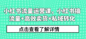 小红书流量运营课，小红书搞流量+高效卖货+私域转化-虚拟资源库