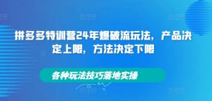 拼多多特训营24年爆破流玩法,产品决定上限,方法决定下限,各种玩法技巧落地实操-虚拟资源库