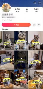 快手MT搬运技术，一比一搬运不剪辑，剧情可用，条条同框-虚拟资源库