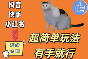超简单玩法，有手就行，靠猫咪视频日入500+【揭秘】-虚拟资源库