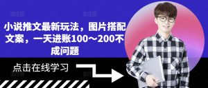 小说推文最新玩法，图片搭配文案，一天进账100～200不成问题-虚拟资源库