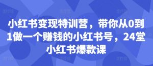 小红书变现特训营，带你从0到1做一个赚钱的小红书号，24堂小红书爆款课-虚拟资源库