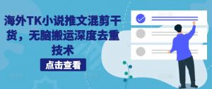 海外TK小说推文混剪干货，无脑搬运深度去重技术-虚拟资源库
