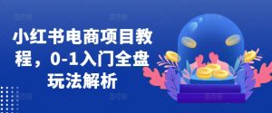 小红书电商项目教程，0-1入门全盘玩法解析-虚拟资源库