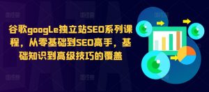 谷歌google独立站SEO系列课程，从零基础到SEO高手，基础知识到高级技巧的覆盖-虚拟资源库