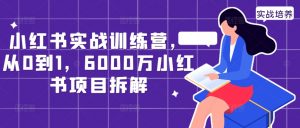 小红书实战训练营,从0到1,6000万小红书项目拆解-虚拟资源库