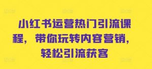 小红书运营热门引流课程，带你玩转内容营销，轻松引流获客-虚拟资源库