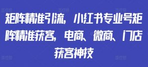 矩阵精准引流,小红书专业号矩阵精准获客,电商、微商、门店获客神技-虚拟资源库