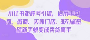 小红书矩阵号引流，适用于电商、微商、实体门店，30天从0基础新手蜕变成卖货高手-虚拟资源库