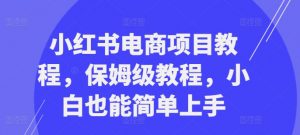 小红书电商项目教程，保姆级教程，小白也能简单上手-虚拟资源库