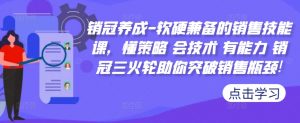 销冠养成-软硬兼备的销售技能课，懂策略 会技术 有能力 销冠三火轮助你突破销售瓶颈!-虚拟资源库