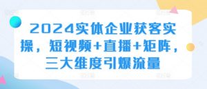 2024实体企业获客实操,短视频+直播+矩阵,三大维度引爆流量-虚拟资源库