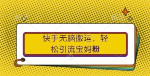快手无脑搬运,轻松引流宝妈粉,纯小白轻松上手【揭秘】-虚拟资源库