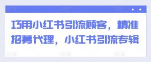巧用小红书引流顾客，精准招募代理，小红书引流专辑-虚拟资源库