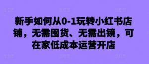 新手如何从0-1玩转小红书店铺,无需囤货、无需出镜,可在家低成本运营开店-虚拟资源库