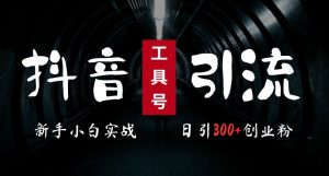 2024最新抖音工具号引流玩法,高效日引300+创业粉,当天变现5k,小白也可成为实战高手-虚拟资源库