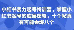 小红书暴力起号特训营,掌握小红书起号的底层逻辑,十个帖真有可能会爆八个-虚拟资源库