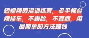 短视频‮剪混‬训练营，多平‮视台‬频挂车，不露脸，不直播，用最简单的方法赚钱-虚拟资源库