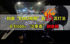 抖音EMO视频自热打法，日引500+“泛垂直”创业粉-虚拟资源库