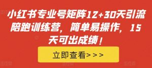 小红书专业号矩阵12+30天引流陪跑训练营,简单易操作,15天可出成绩!-虚拟资源库