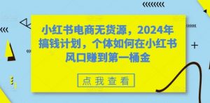 小红书电商无货源，2024年搞钱计划，个体如何在小红书风口赚到第一桶金-虚拟资源库