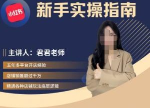 君君-小红书电商从入门到精通，新手实操指南-虚拟资源库
