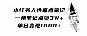 小红书人性痛点笔记,一条笔记点赞3W+,单日变现1k-虚拟资源库