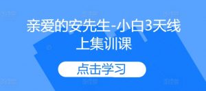 亲爱的安先生-小白3天线上集训课-虚拟资源库