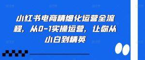 小红书电商精细化运营全流程，从0-1实操运营，让你从小白到精英-虚拟资源库