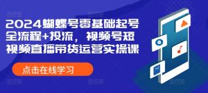 2024蝴蝶号零基础起号全流程+投流，视频号短视频直播带货运营实操课-虚拟资源库
