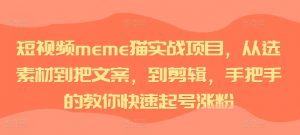 短视频meme猫实战项目,从选素材到把文案,到剪辑,手把手的教你快速起号涨粉-虚拟资源库