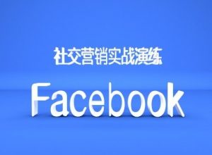 Facebook社交营销实战演练，外贸人绝对不能错过的营销推广平台-虚拟资源库