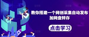 教你搭建一个网创采集自动发布加网盘转存-虚拟资源库