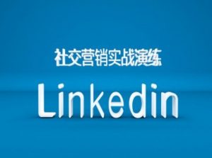 社交营销实战演练之Linkedin营销课程,B2B跨境外贸的新出路-虚拟资源库