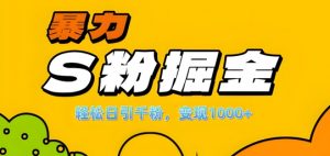 单人单机日引千粉，变现1k+，S粉流量掘金计划攻略【揭秘】-虚拟资源库