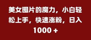 美女图片的魔力，小白轻松上手，快速涨粉，日入几张【揭秘】-虚拟资源库