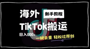 2024最新海外TikTok搬运玩法，一键去重轻松过原创，新手无经验也能日入1k【揭秘】-虚拟资源库