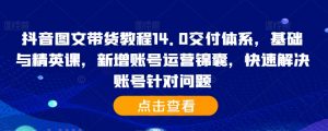 抖音图文带货教程14.0交付体系，基础与精英课，新增账号运营锦囊，快速解决账号针对问题-虚拟资源库
