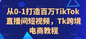 从0-1打造百万TikTok直播间短视频,Tk跨境电商教程-虚拟资源库