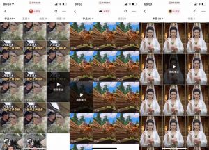 狗熊岭快手连怼技术，好物，涨粉都可以连怼-虚拟资源库
