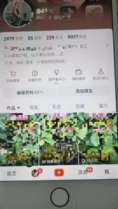 最新抖音暴力起万粉技术，一天涨万粉，发三四个作品涨近万粉-虚拟资源库