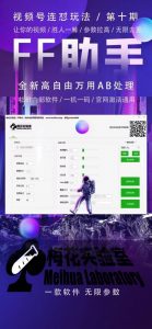 梅花实验室社群专享课视频号连怼玩法第十期课程+第二部分-FF助手全新高自由万能爆闪AB处理-虚拟资源库