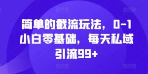 简单的截流玩法,0-1小白零基础,每天私域引流99+【揭秘】-虚拟资源库