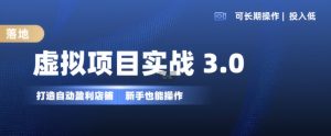 虚拟项目实战3.0,打造自动盈利店铺,可长期操作投入低,新手也能操作-虚拟资源库