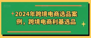 2024年跨境电商选品案例,跨境电商利基选品(更新11月)-虚拟资源库