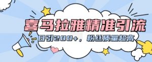 喜马拉雅精准引流,日引200+粉丝质量超高-虚拟资源库