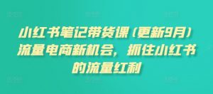 小红书笔记带货课(更新11月)流量电商新机会,抓住小红书的流量红利-虚拟资源库