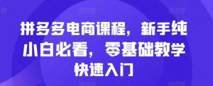 拼多多电商课程，新手纯小白必看，零基础教学快速入门-虚拟资源库
