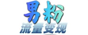 男粉流量+网盘拉新变现，轻松一天3-5张，0基础可学，白嫖来-虚拟资源库
