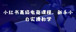 小红书高级电商课程，新手小白实操教学-虚拟资源库